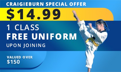 Kids Taekwondo Classes in Craigieburn